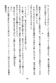 修正報告 銀河ツンデレ伝説, 日本語