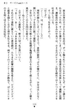 つよきす アナザーストーリー 近衛素奈緒の場合, 日本語