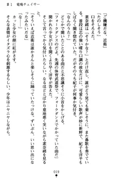 つよきす アナザーストーリー 近衛素奈緒の場合, 日本語