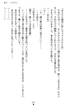 つよきす アナザーストーリー 近衛素奈緒の場合, 日本語