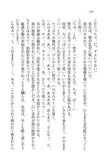 サムライガール～愛しさと切なさと, 日本語