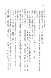 サムライガール～愛しさと切なさと, 日本語