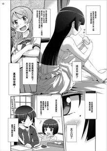 Gokou Ruri 100P, 中文