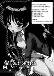 Gokou Ruri 100P, 中文