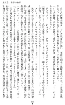 くノ一紗綾 穢されし聖姫, 日本語