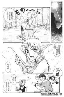 Legend of lodoss2 PART A, 中文