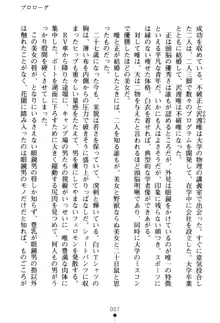 フェアリーフォース 異次元からの淫略, 日本語