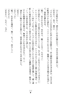 フェアリーフォース 異次元からの淫略, 日本語