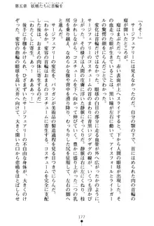 フェアリーフォース 異次元からの淫略, 日本語