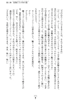 フェアリーフォース 異次元からの淫略, 日本語