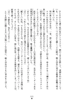 フェアリーフォース 異次元からの淫略, 日本語