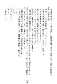 フェアリーフォース 異次元からの淫略, 日本語