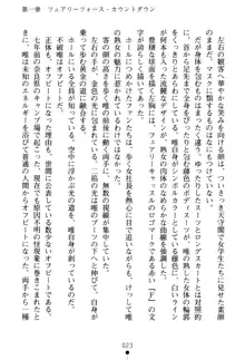 フェアリーフォース 異次元からの淫略, 日本語