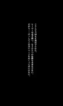 フェアリーフォース 異次元からの淫略, 日本語