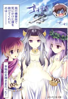 ボクだけの女神姉妹, 日本語