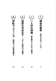 ボクだけの女神姉妹, 日本語