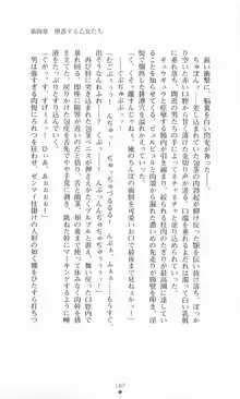 魔法戦士シンフォニックナイツ, 日本語