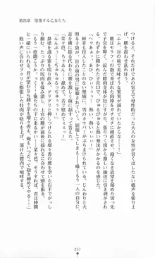 魔法戦士シンフォニックナイツ, 日本語