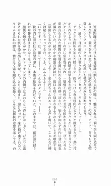 魔法戦士シンフォニックナイツ, 日本語