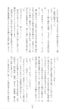 淫獣聖戦DNA 下・鬼畜淫炎の巻, 日本語