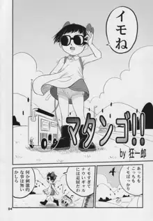 PROJECT ARALE 3, 日本語