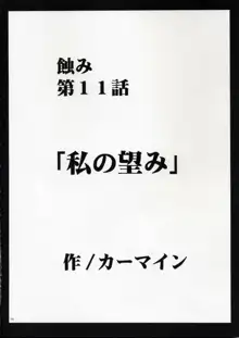 気高き豹, 日本語