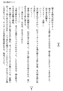 淫虐の黒騎士ローザ, 日本語