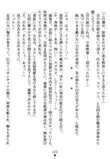 淫虐の黒騎士ローザ, 日本語