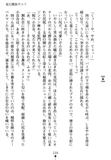 淫虐の黒騎士ローザ, 日本語