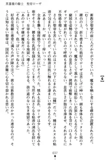 淫虐の黒騎士ローザ, 日本語