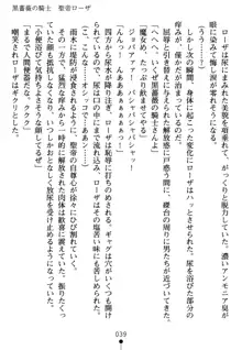 淫虐の黒騎士ローザ, 日本語