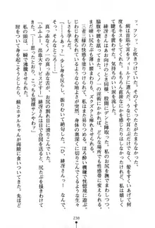 くノ一夜伽話 この印籠が目に入らぬか？, 日本語