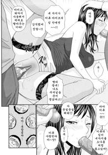 Mother and daughter rape, 한국어