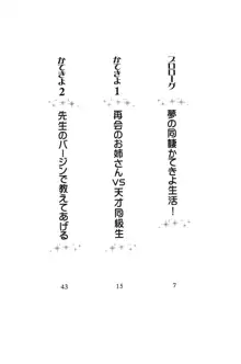 かてきよ ! 家庭教師とハーレムレッスン？, 日本語