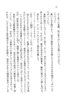 かてきよ ! 家庭教師とハーレムレッスン？, 日本語