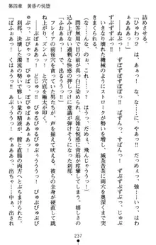 黄昏のワルキューレ 恥辱の戦乙女, 日本語