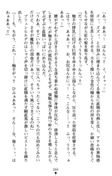 黄昏のワルキューレ 恥辱の戦乙女, 日本語