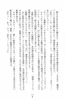 魔法のメイドの美沙都さん, 日本語