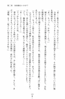 魔法のメイドの美沙都さん, 日本語