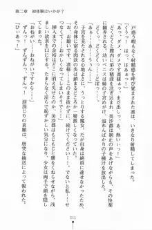 魔法のメイドの美沙都さん, 日本語