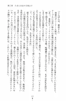 魔法のメイドの美沙都さん, 日本語