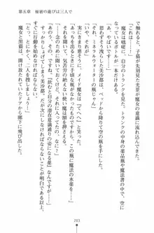 魔法のメイドの美沙都さん, 日本語