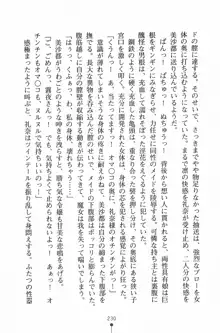 魔法のメイドの美沙都さん, 日本語