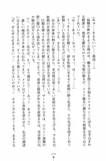 魔法のメイドの美沙都さん, 日本語