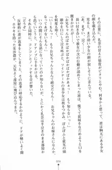 魔法のメイドの美沙都さん, 日本語