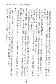 魔法のメイドの美沙都さん, 日本語