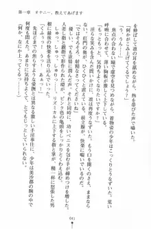 魔法のメイドの美沙都さん, 日本語