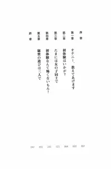 魔法のメイドの美沙都さん, 日本語