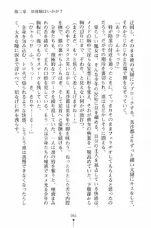 魔法のメイドの美沙都さん, 日本語