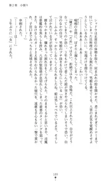 魔斬姫伝 退魔師たちの淫獄, 日本語